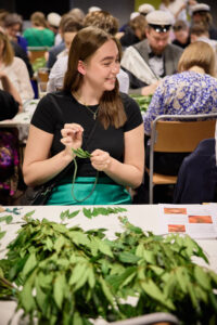 111_FILTDK_2023-05-21_esiseppeleensitojaiset_R6_0258_web