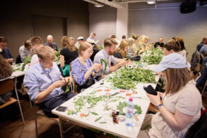 155_FILTDK_2023-05-21_esiseppeleensitojaiset_R6_0336_web